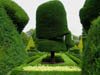 moretopiary.jpg