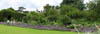 panoramicviewofgarden.jpg