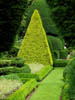 pyramidtopiary.jpg