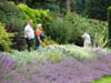 tomdadandbescontemplatingtheflowers.jpg