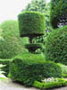 topiary.jpg