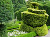 worldsmostfamoustopiarygarden.jpg