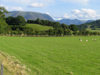 anotherview.jpg