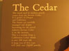 cedarwoodpencils.jpg