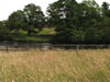 rivertyneatcilurnum.jpg