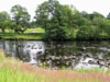 rivertynefromthebathhouse.jpg