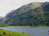 theviewatcrummock.jpg