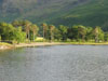 treesonlakebuttermere.jpg