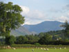 typicalviewinlakedistrictnearcrummockmere.jpg
