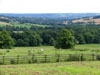 viewofthedales.jpg