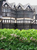 lookingintocourtyard.jpg