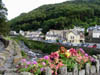 bloomsoverriverinlynmouth.jpg