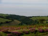 exmoorhills.jpg