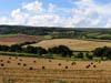 haybales.jpg