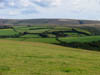 hedgesandfieldsnearporlockhill.jpg