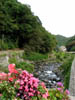 lynmouthriverview1.jpg