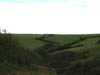 roaduphillencaedbyhedge1.jpg