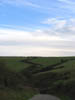 roaduphillencasedbyhedge.jpg