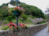 summerbllomsinlynmouth.jpg