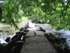 tarrstepsoverriver1.jpg