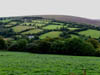viewofdevonmoors.jpg