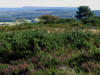 viewoverthemoors.jpg