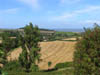 wheatfieldview1.jpg