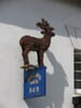 wovendeerovershop.jpg