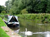 bargeandswan.jpg
